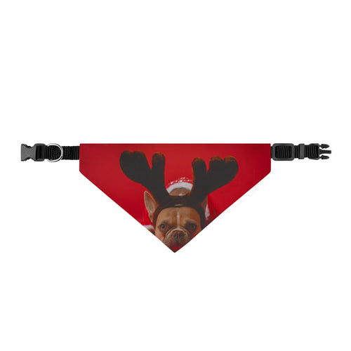 Custom Pet Photo Clip-on Bandana – S / M / XL