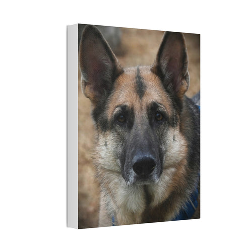 Custom Pet Photo Canvas Print – 12" × 16" (vertical)